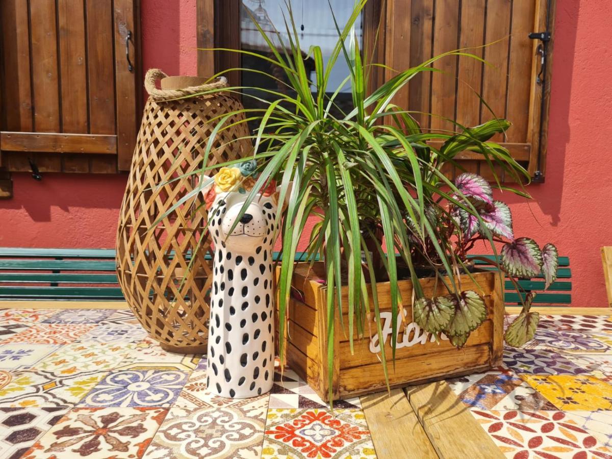 فيلا El Jardin De Gala Castejon de Monegros المظهر الخارجي الصورة