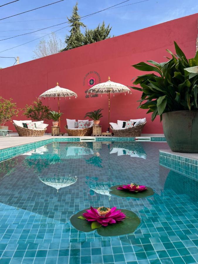 فيلا El Jardin De Gala Castejon de Monegros المظهر الخارجي الصورة